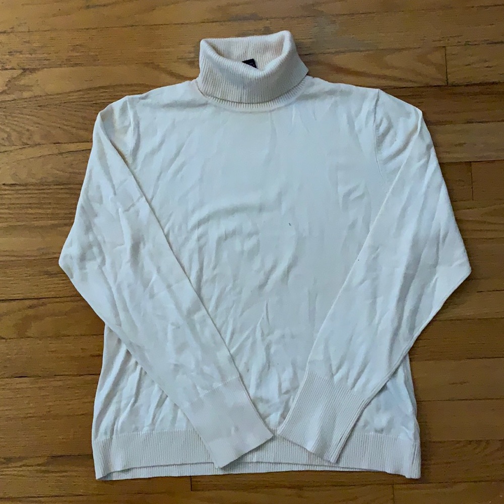 Silk Turtle Neck